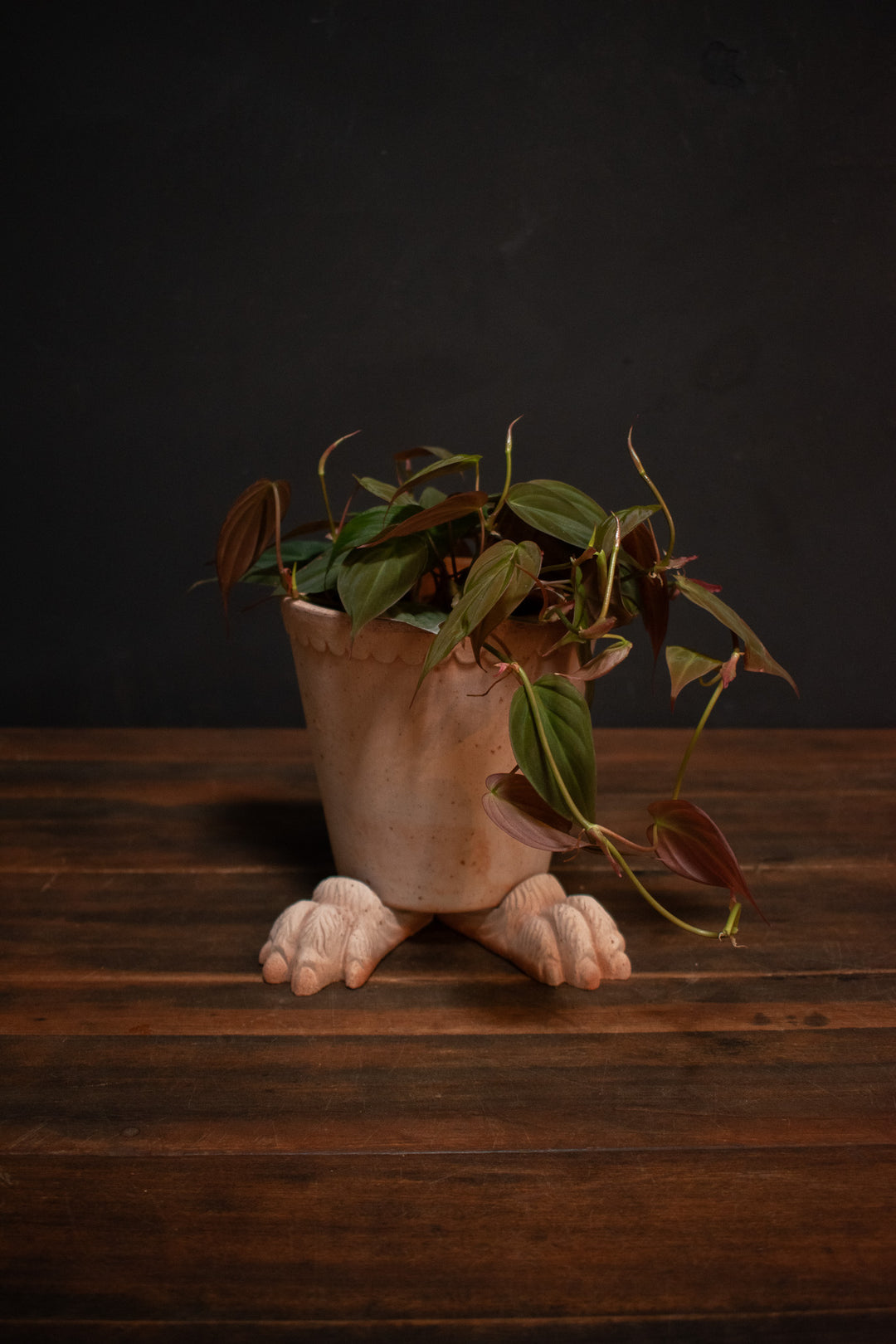 best plant pot feet Bergs Potter