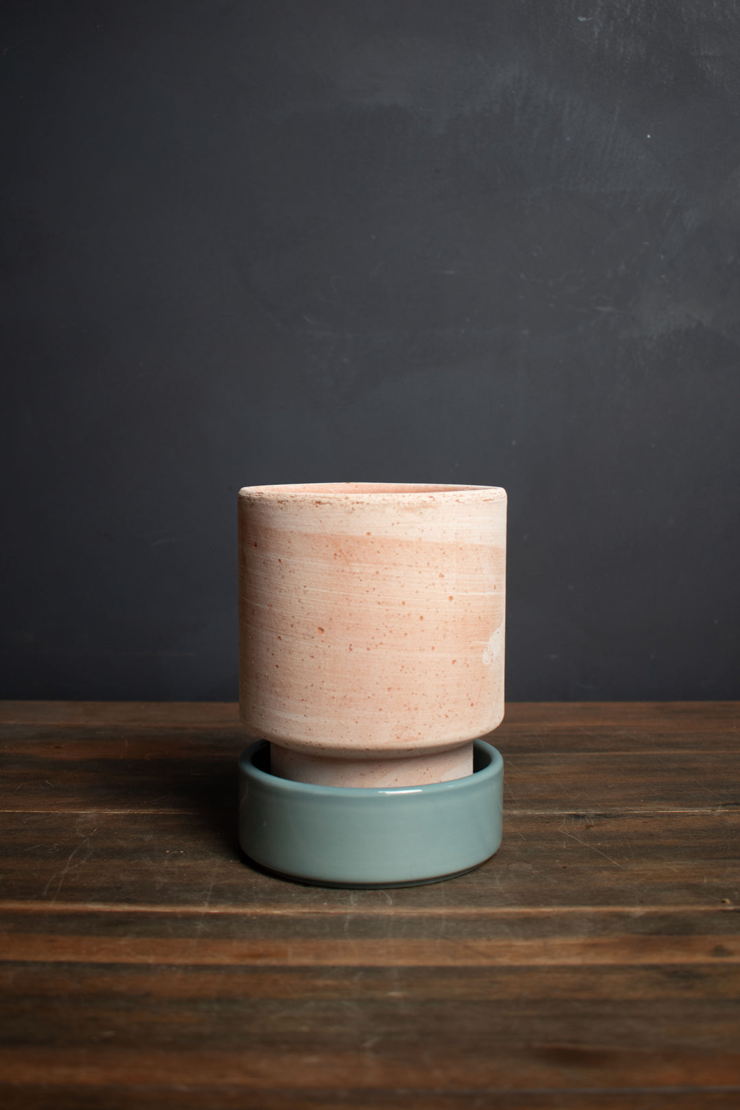 Bergs Potter Rosa Hoff Pot and Saucer