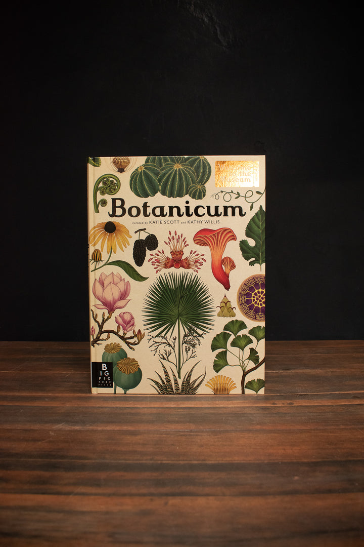 Botanicum: Welcome to the Museum