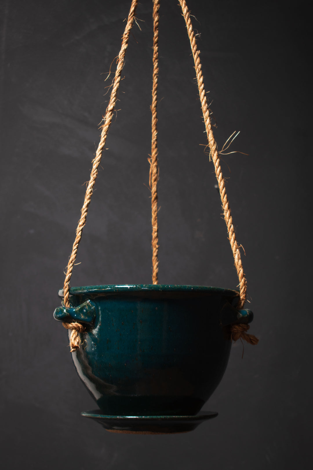 rope hanging planter Bruning Hanging Planter – Crimson Horticultural Rarities