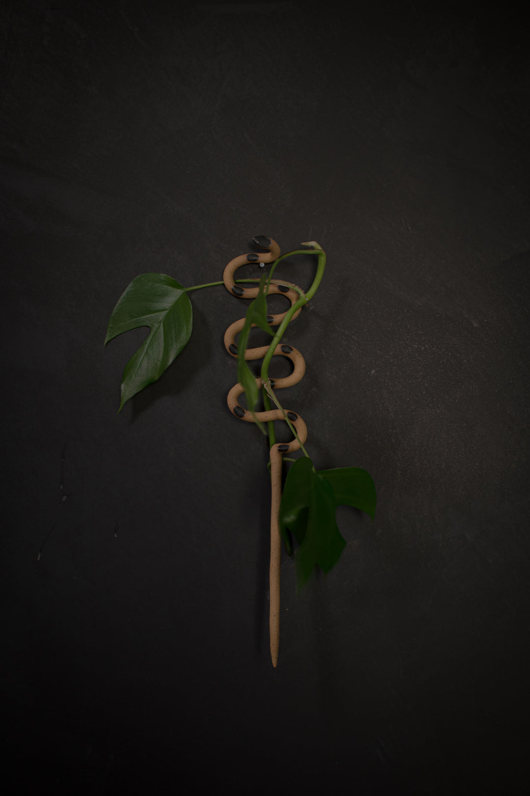 Carter & Rose Plant Snake Stake