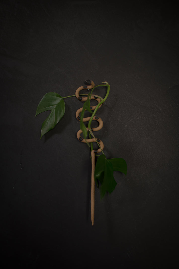 Carter & Rose Plant Snake Stake