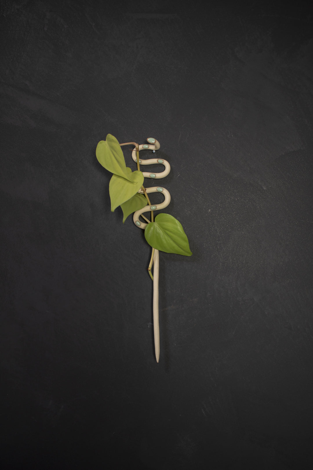 Carter & Rose Plant Snake Stake