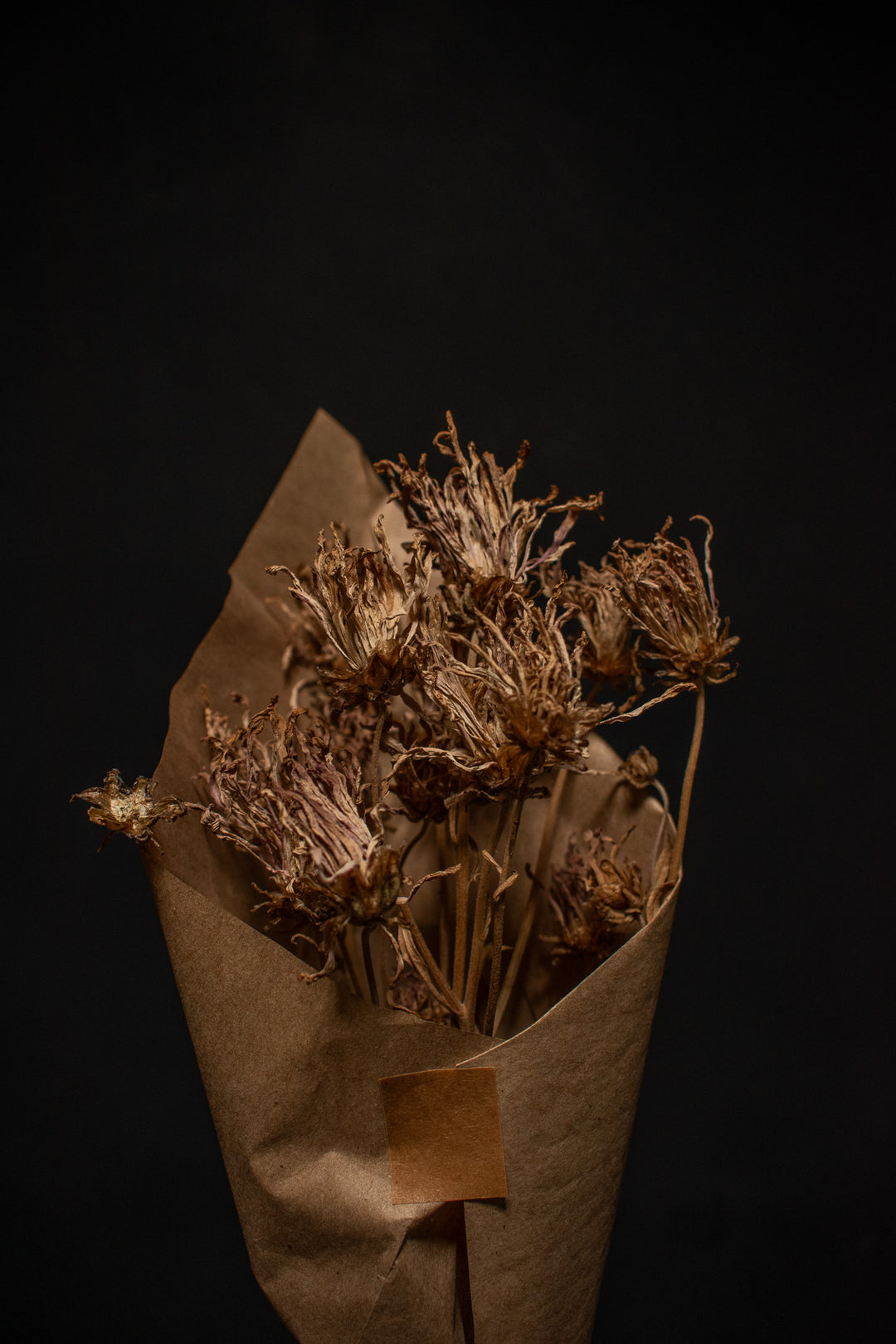 Dried Chrysanthemum Bundle