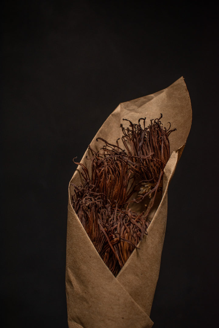 Dried Chrysanthemum Bundle