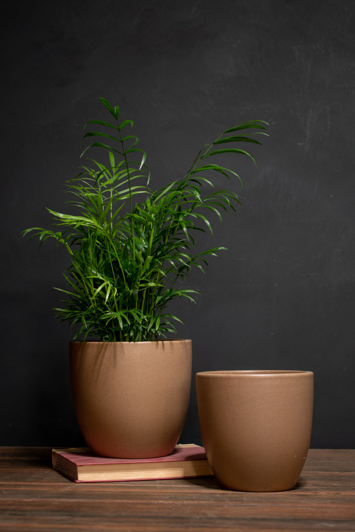 Glazed Egg Pot