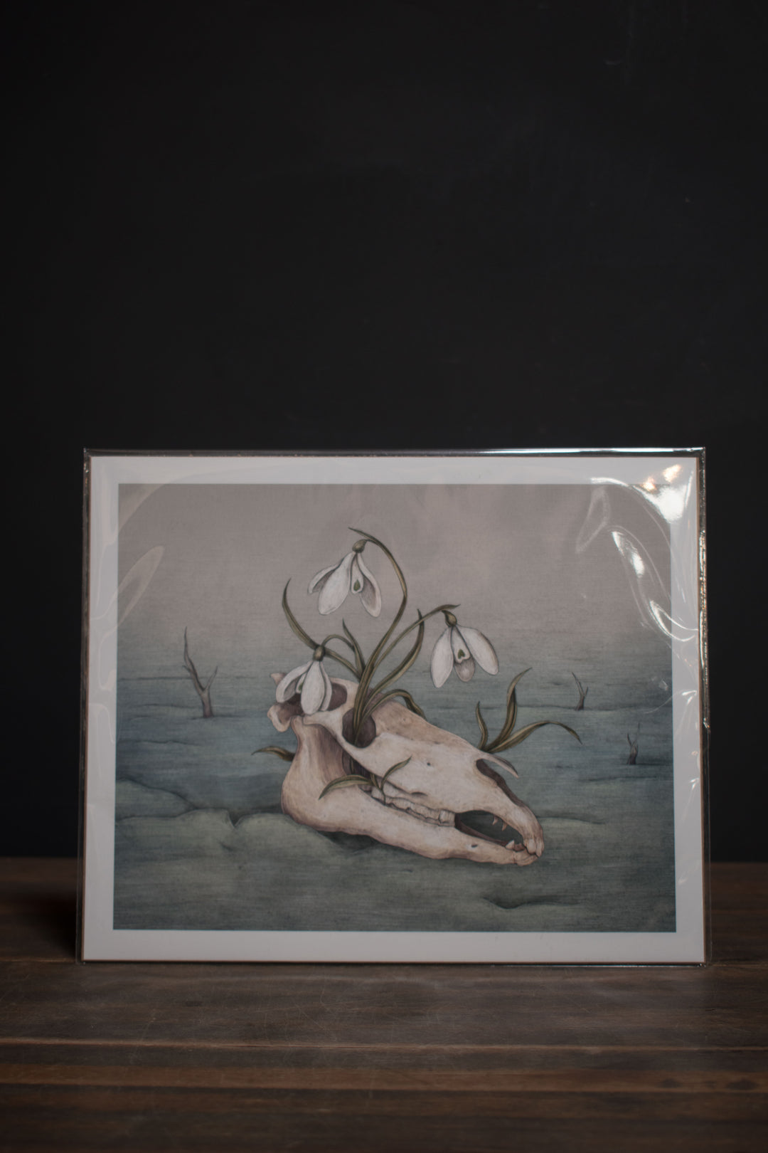 Snowdrop Skull Print