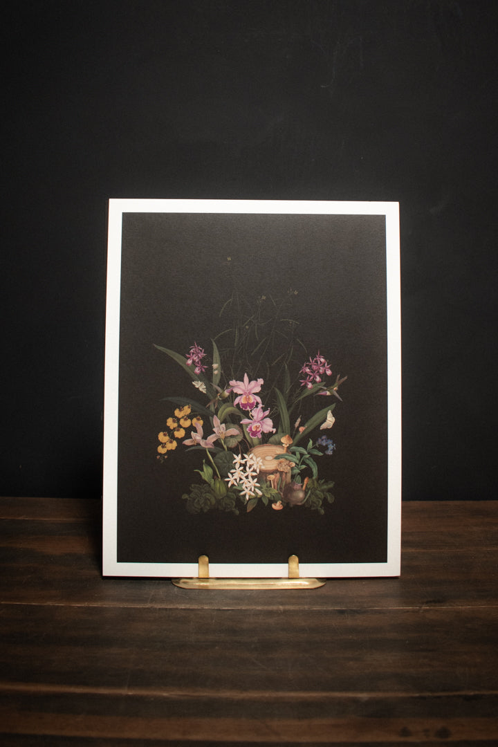 Open Sea "Orchid Garden" Art Print