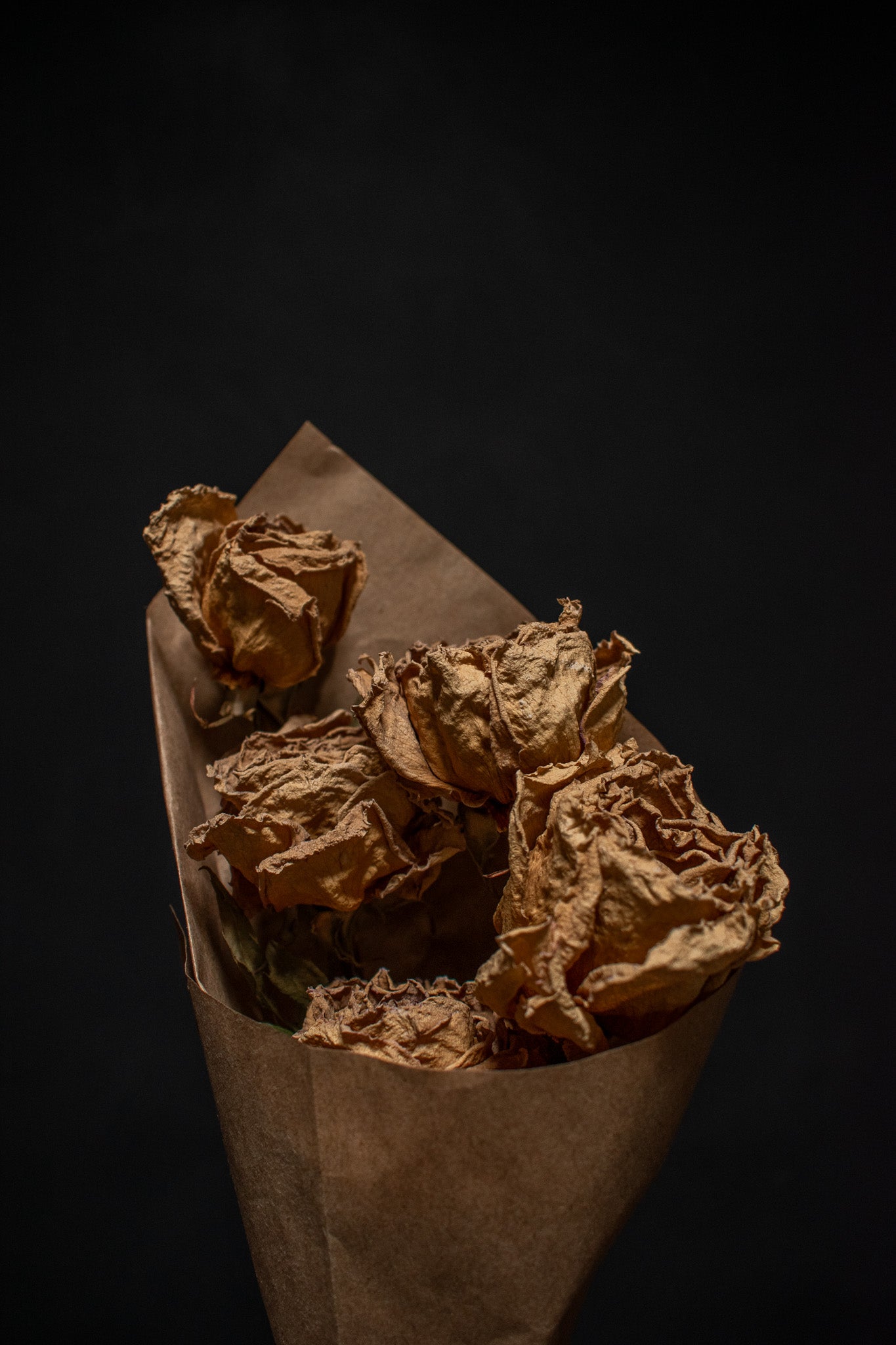 Dried Rose Bundle – Crimson Horticultural Rarities