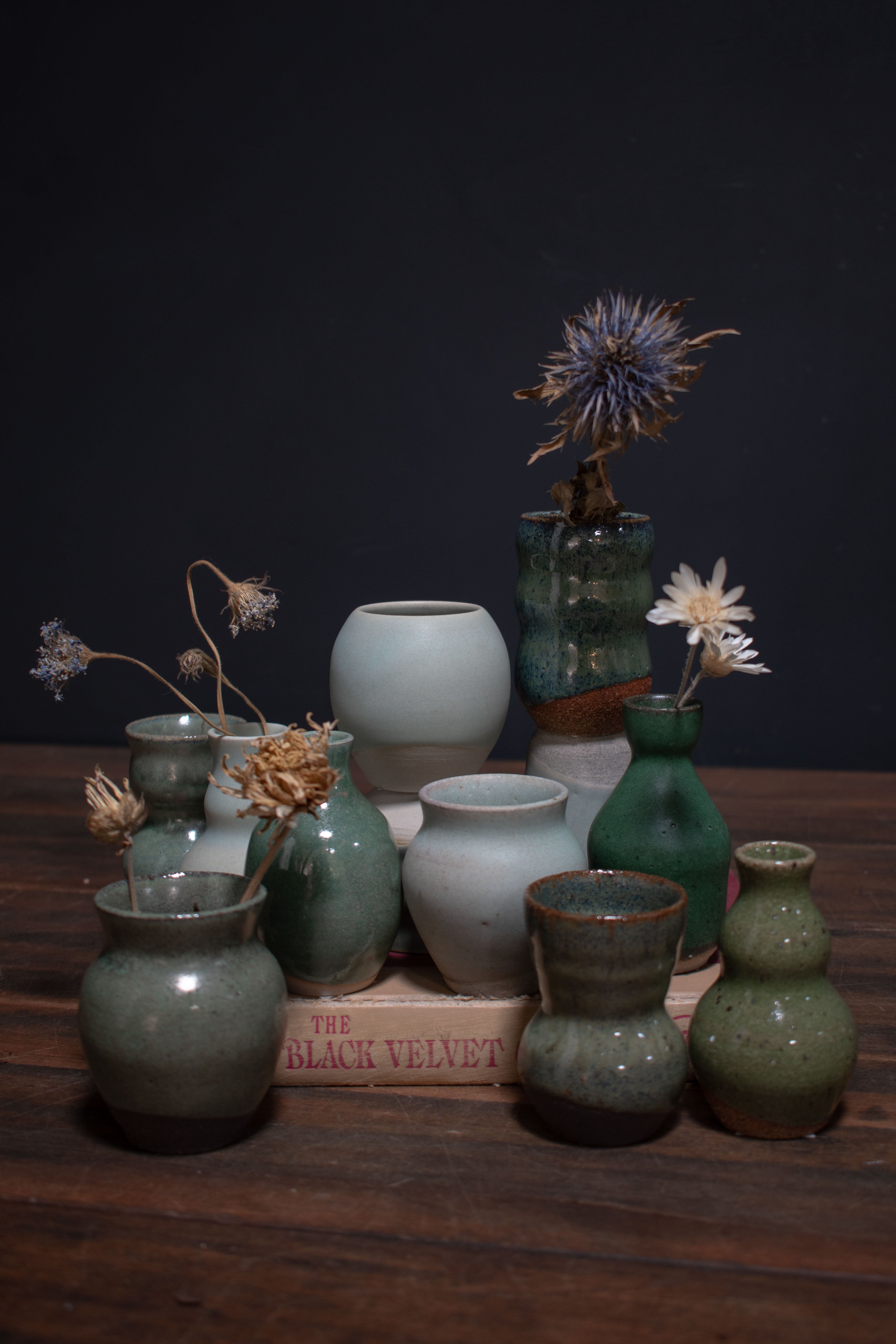 Shop Vases – Crimson Horticultural Rarities