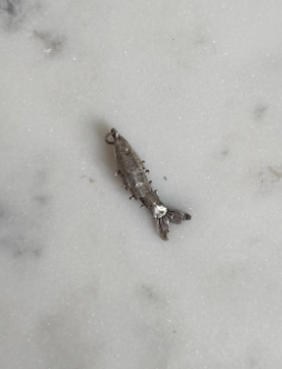 Charm - Sterling Silver Wiggle Fish