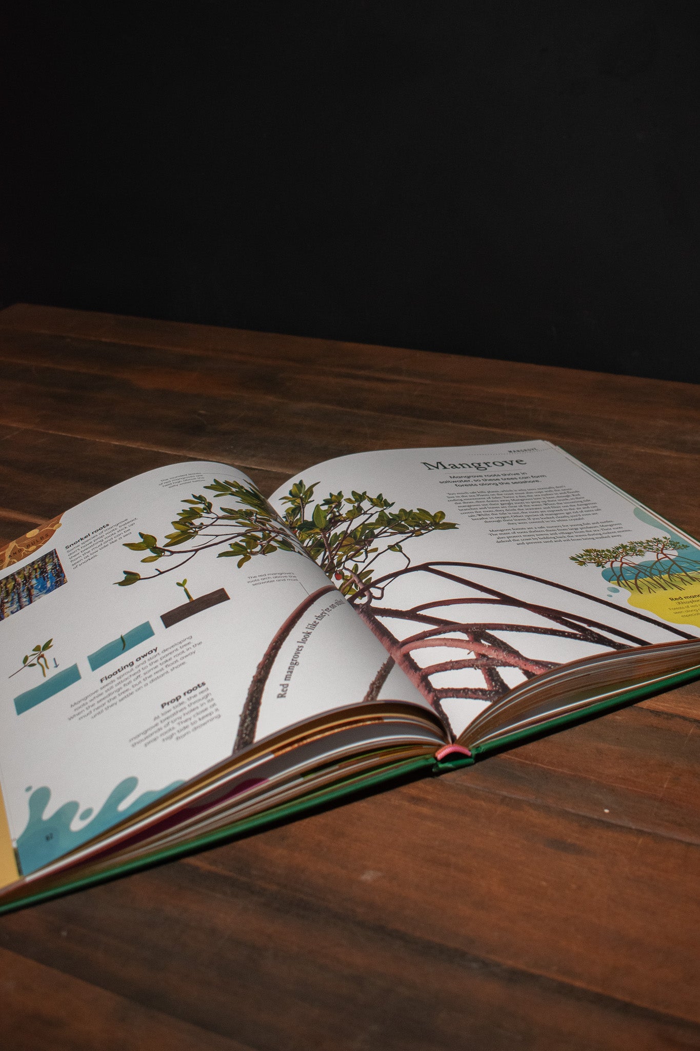 The Secret World of Plants – Crimson Horticultural Rarities
