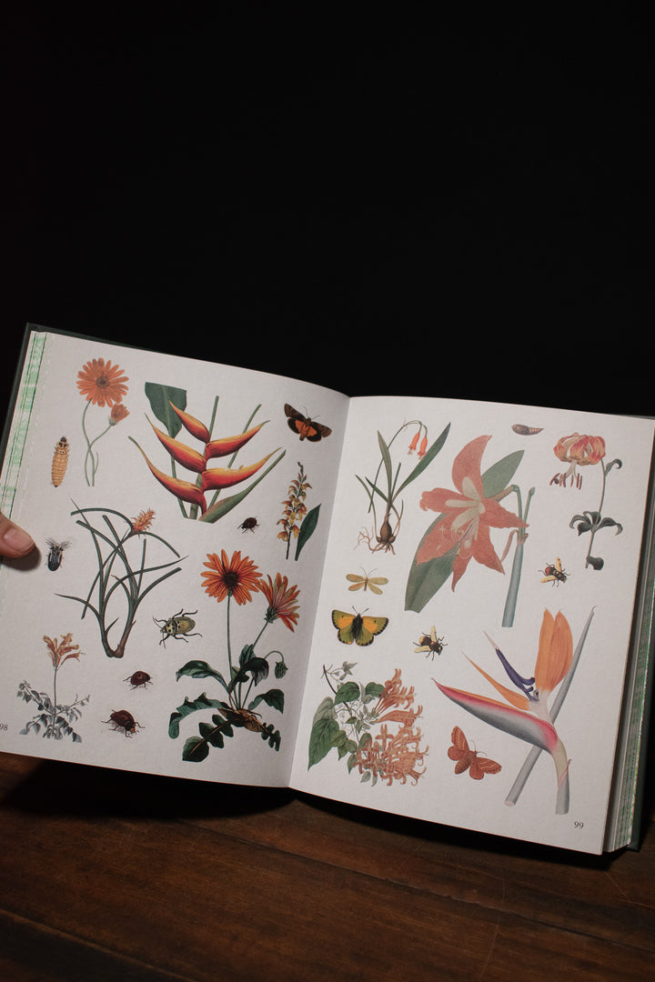 Botanist's Sticker Anthology