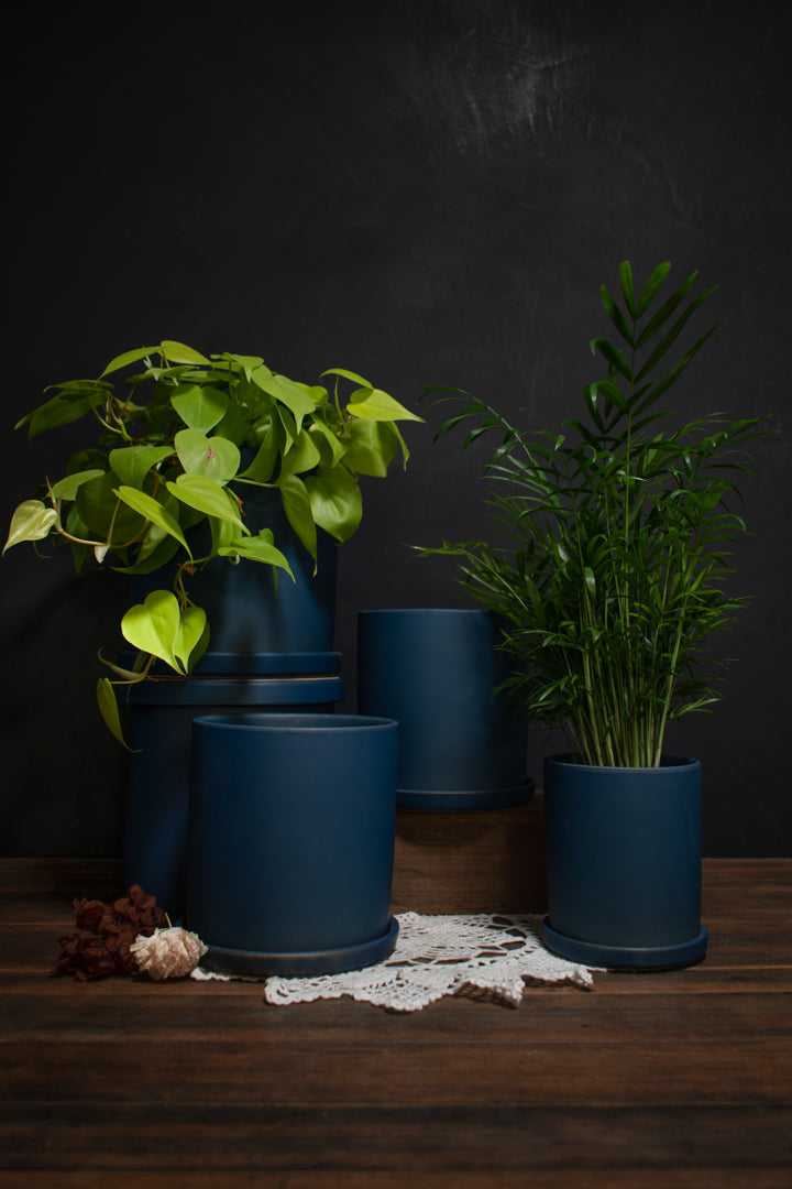 A set of matte dark blue cylindrical plant pots displayed on a dark wooden surface against a dark textured background, styled with green houseplants and a white lace doily.