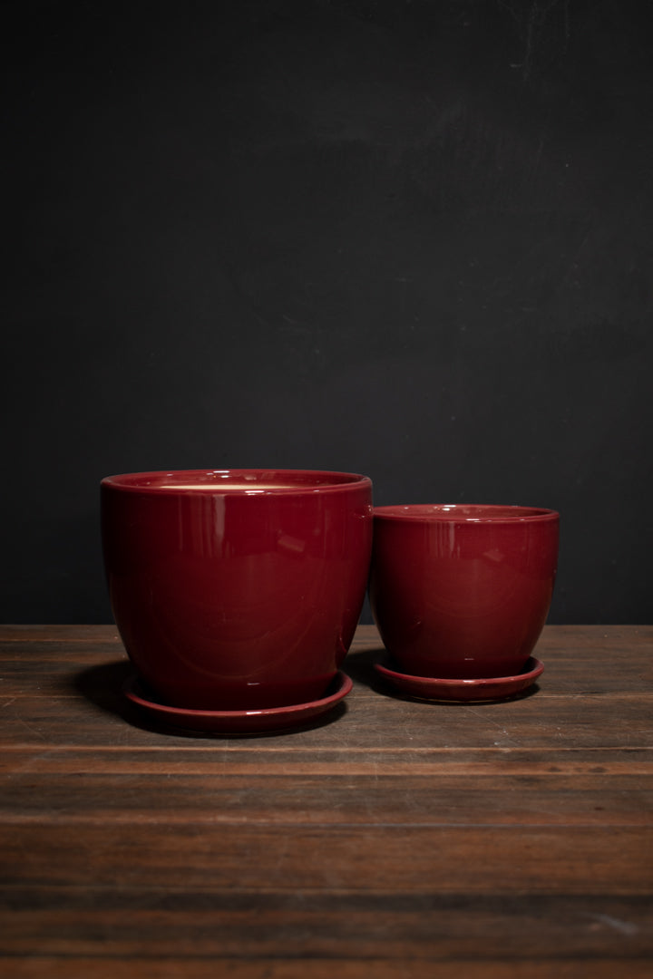 Vaso Egg w/ Saucer