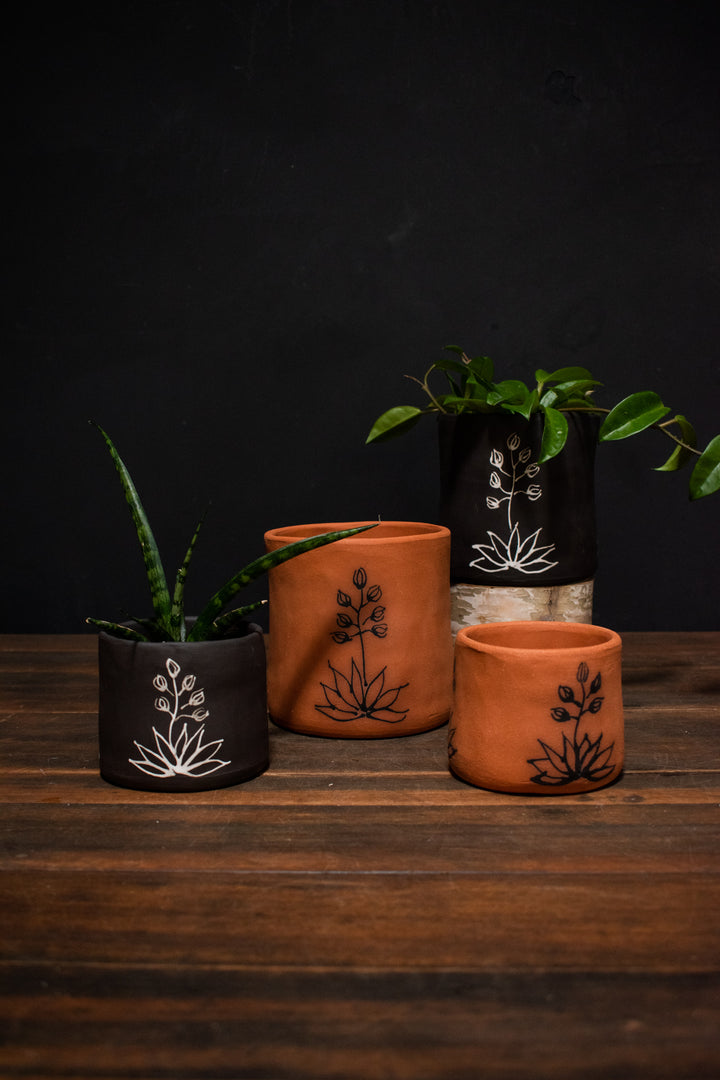 Melville Ceramics - Yucca planter