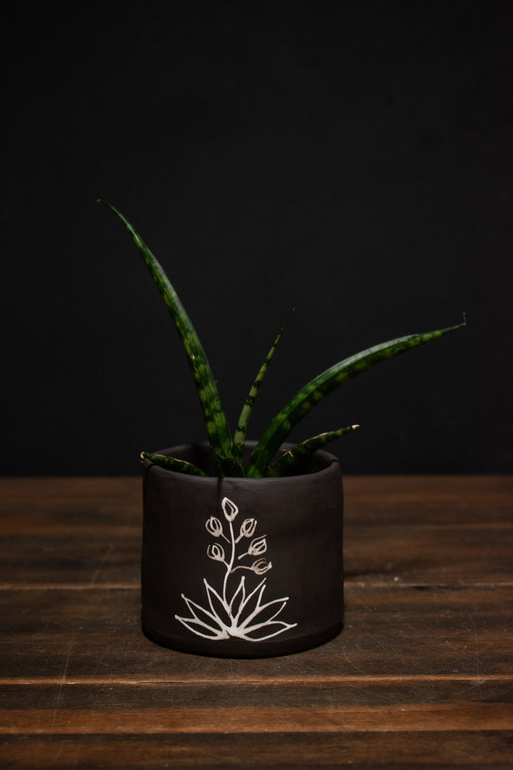 Melville Ceramics - Yucca planter