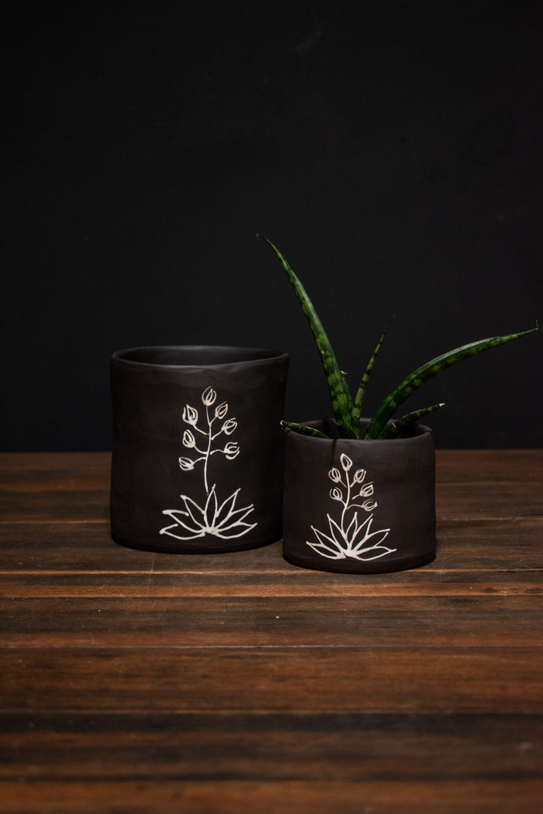 Melville Ceramics - Yucca planter