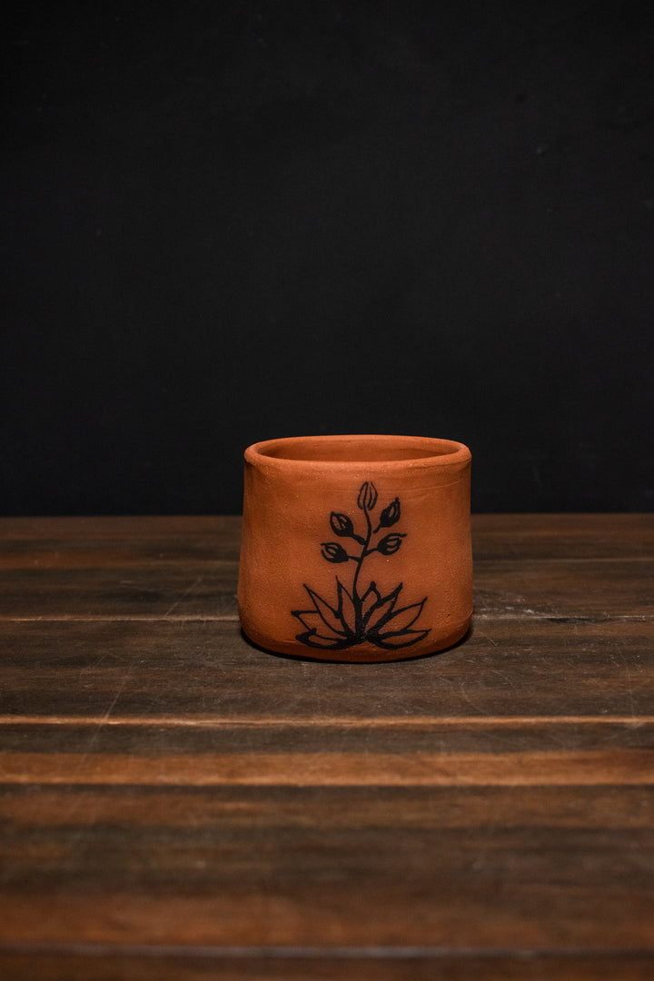 Melville Ceramics - Yucca planter