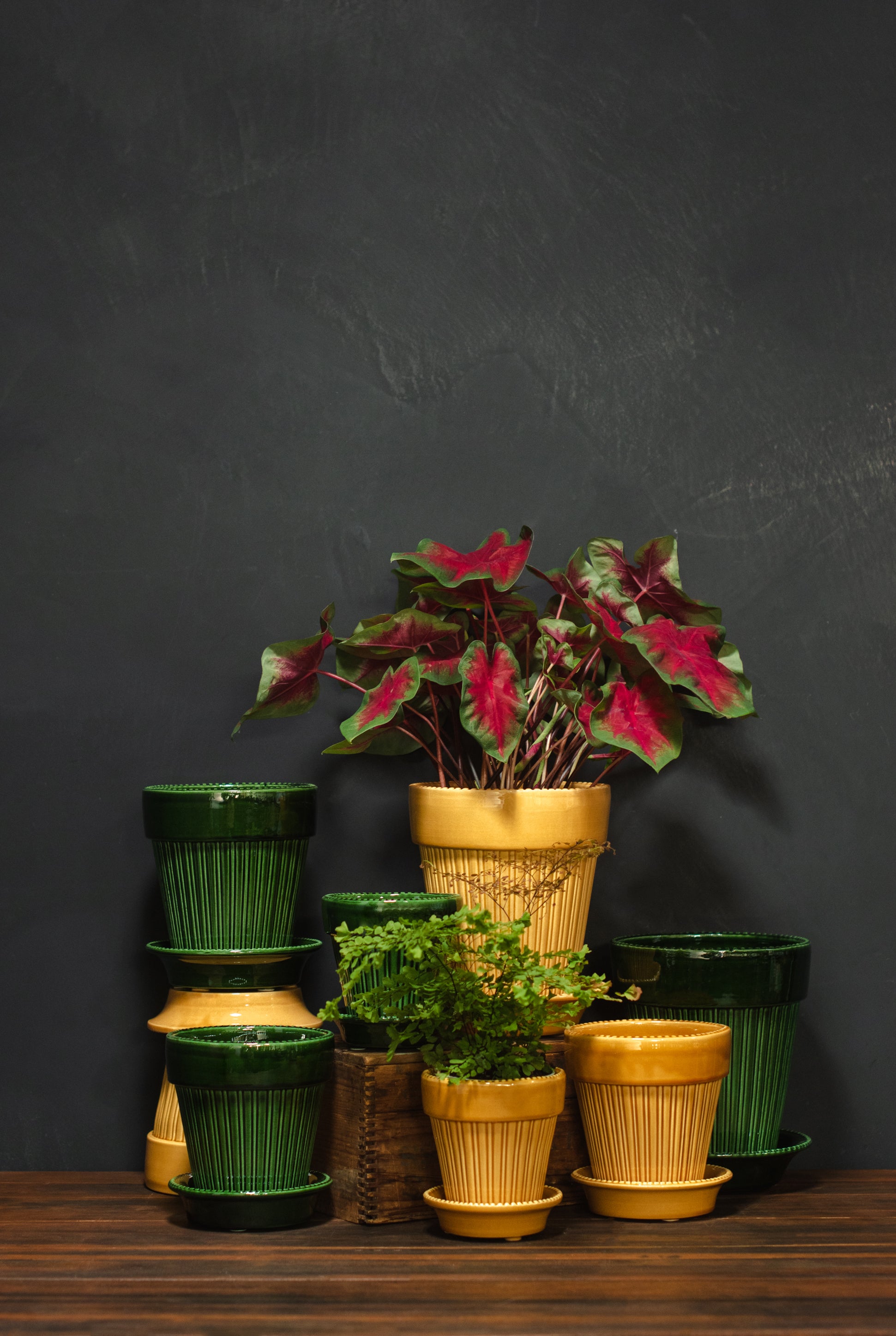 バーグスポッター　シモーナ　Simona 18 Simona flower pot Ø18 cm from Bergs Potter - NordicNest.com