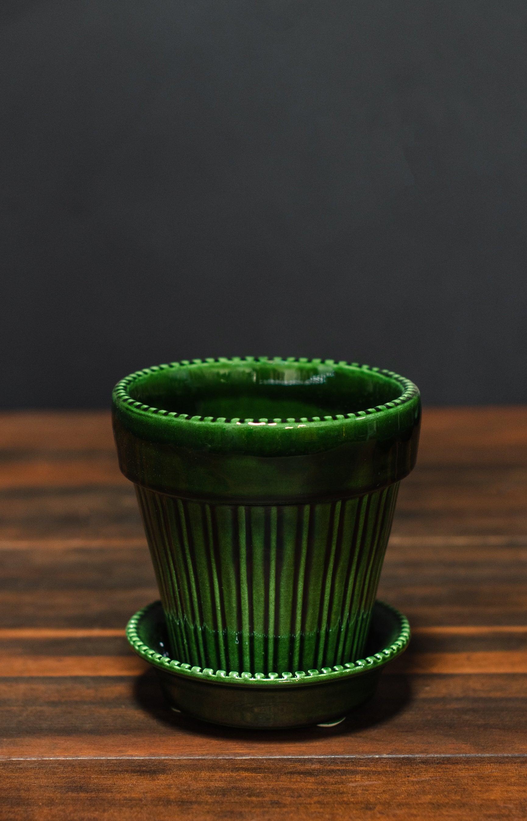 Bergs Potter Glazed Simona Set – Crimson Horticultural Rarities