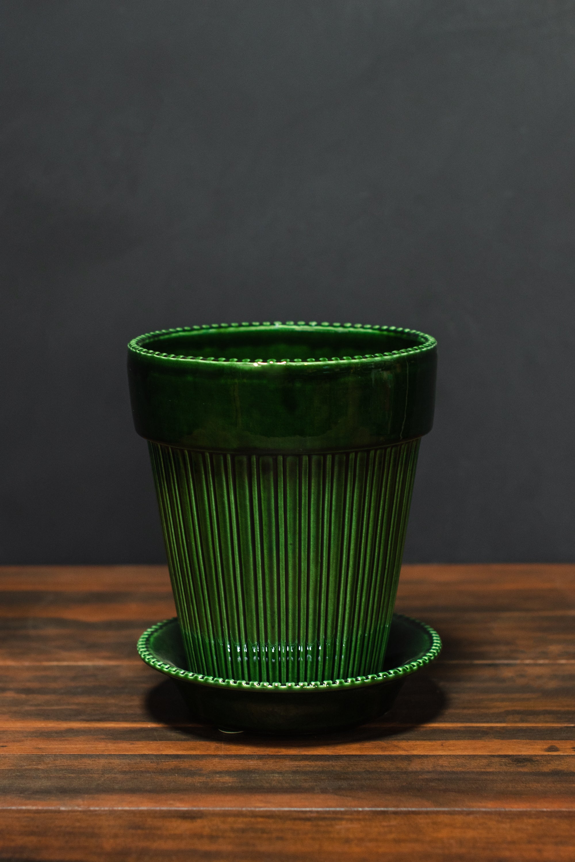 Bergs Potter Glazed Simona Set – Crimson Horticultural Rarities