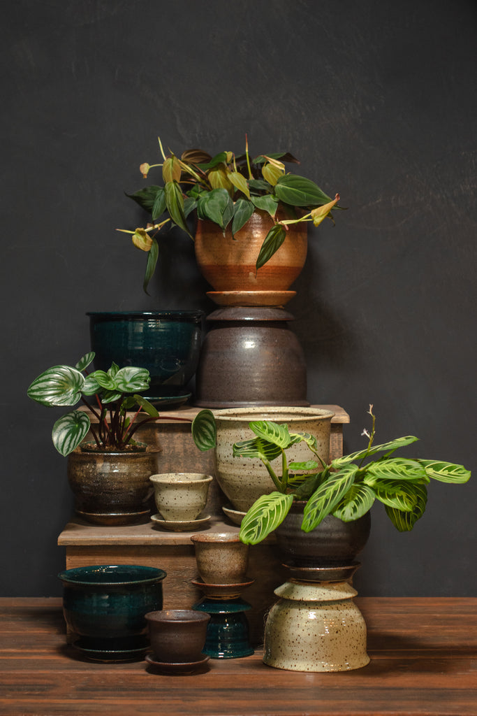 Bruning Standard Planter – Crimson Horticultural Rarities