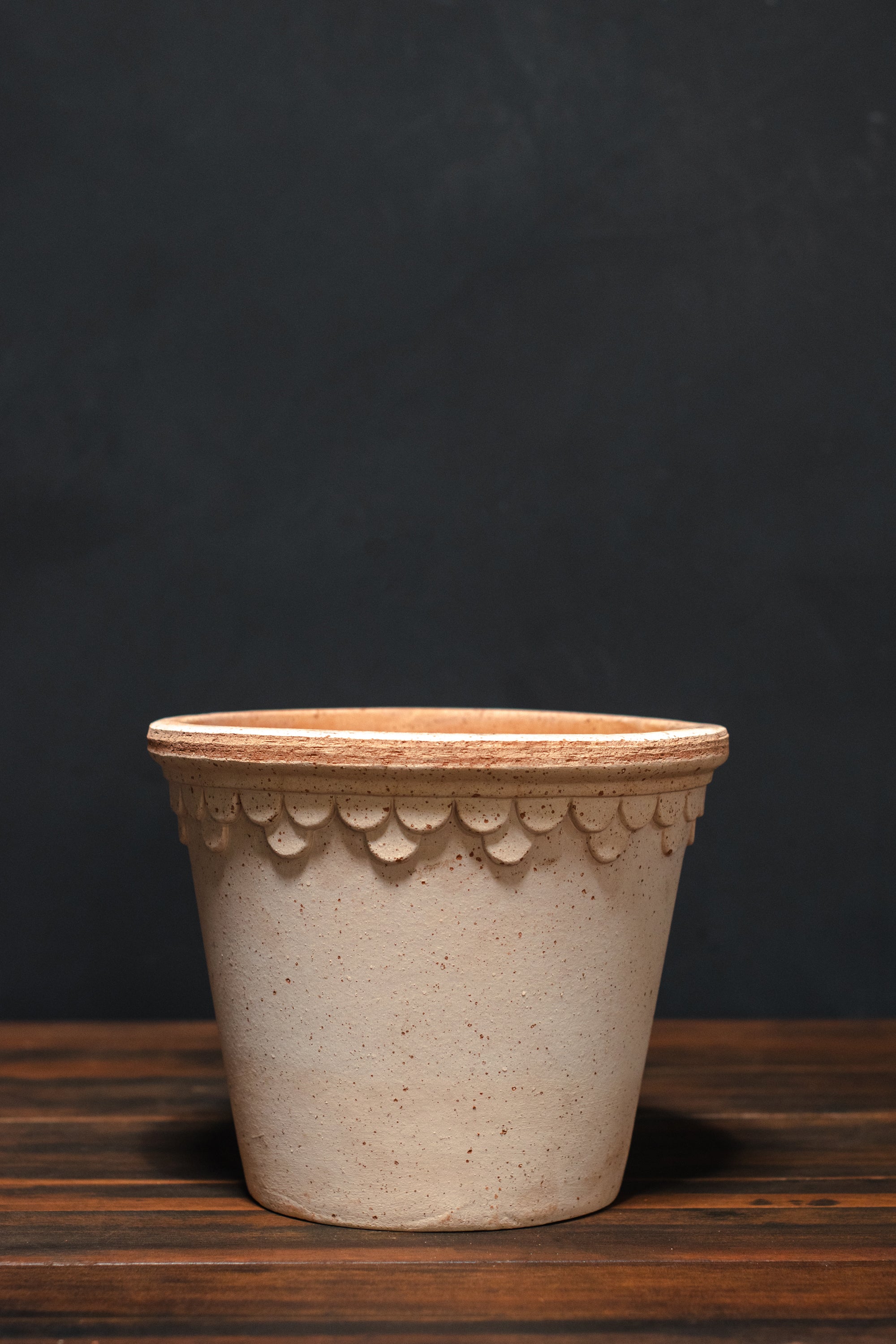 Bergs Potter Copenhagen Pot – Crimson Horticultural Rarities