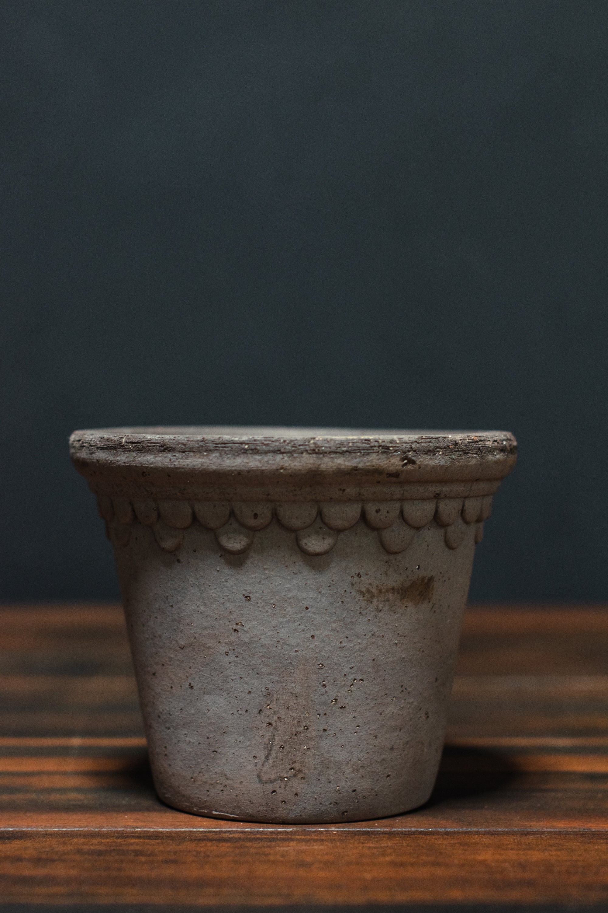 Bergs Potter – Crimson Horticultural Rarities