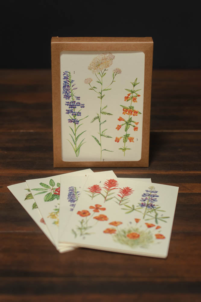 Maria Schoettler California Botany Cards - Set of 8