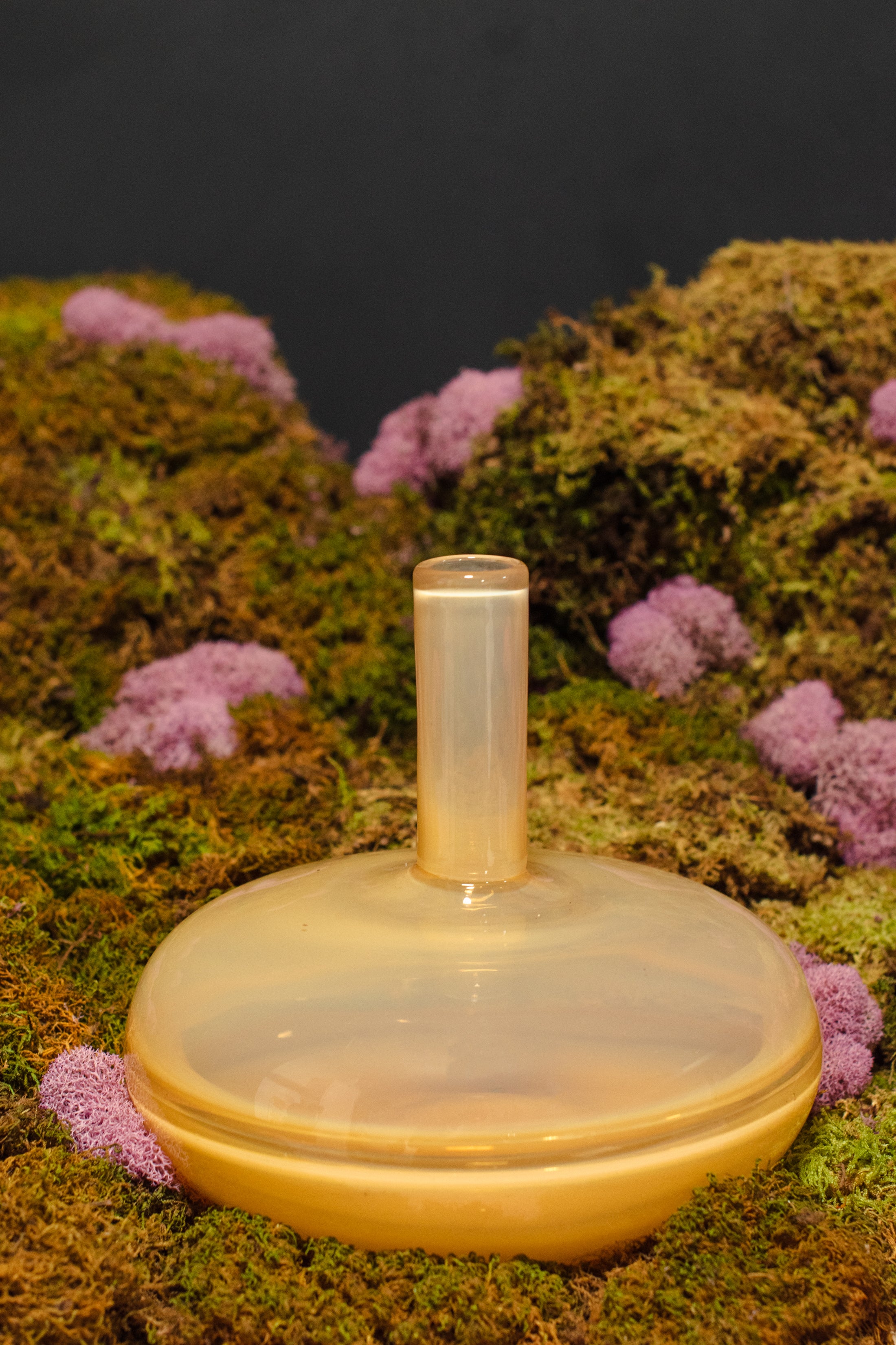 Shop Vases – Crimson Horticultural Rarities