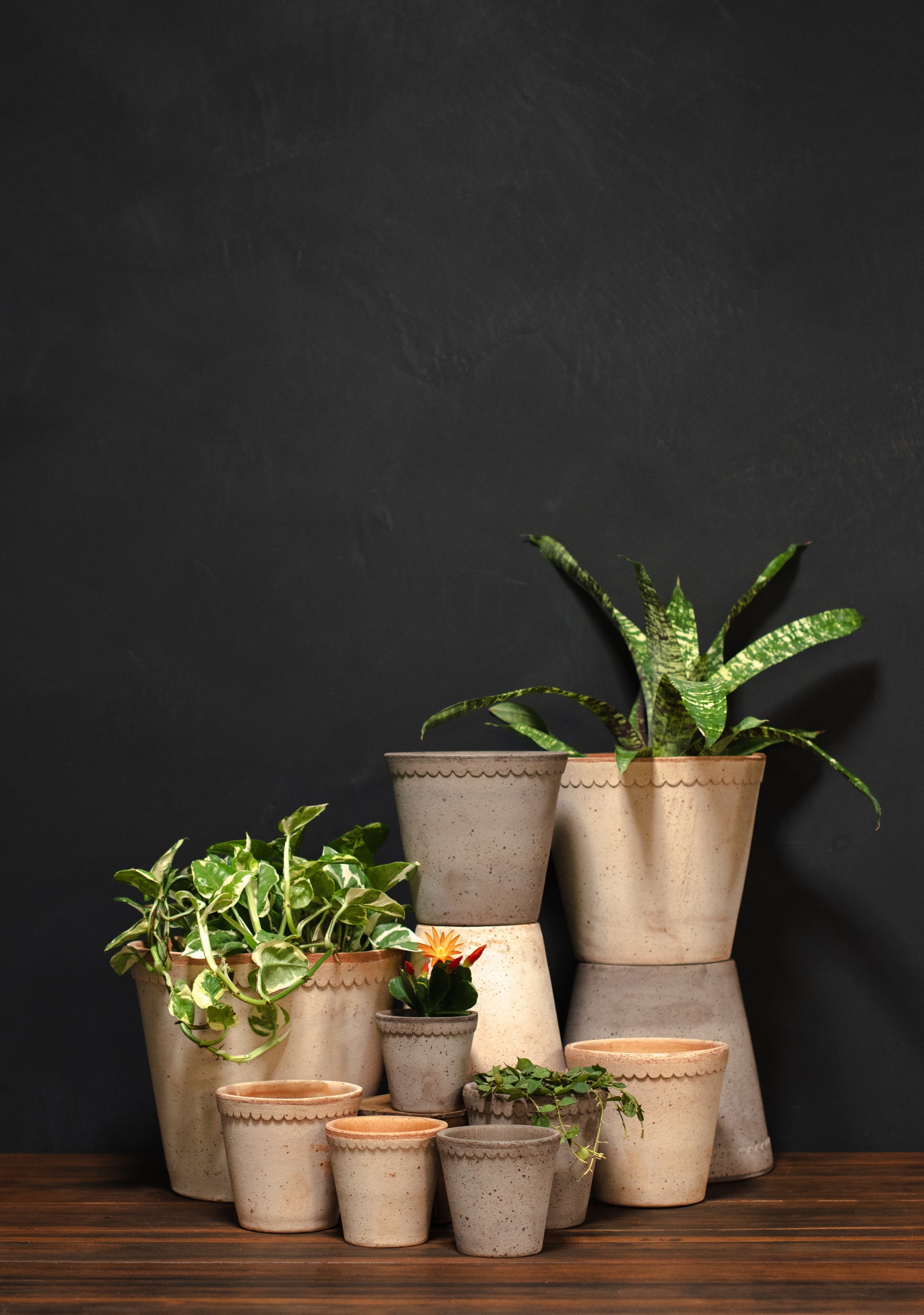 Large - Bergs Potter Helena Pot and Saucer – Crimson Horticultural