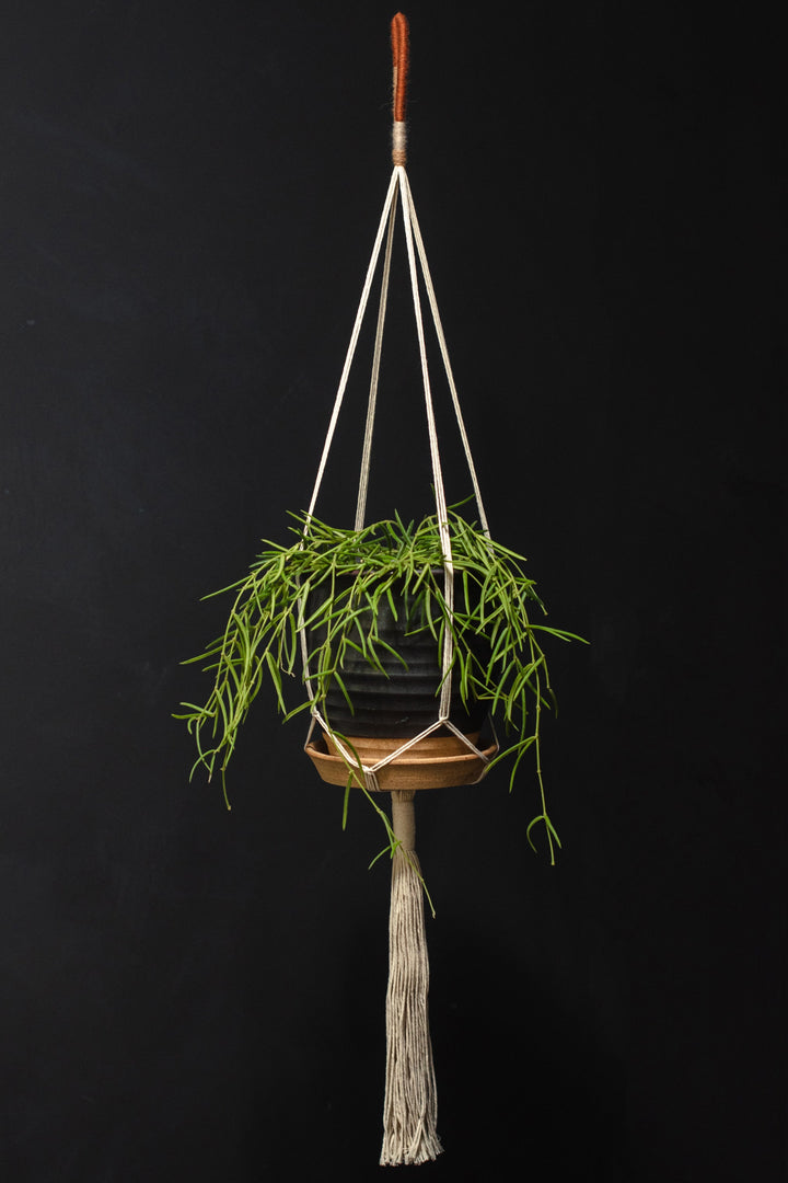 Little Feral Skinny Plant Hanger