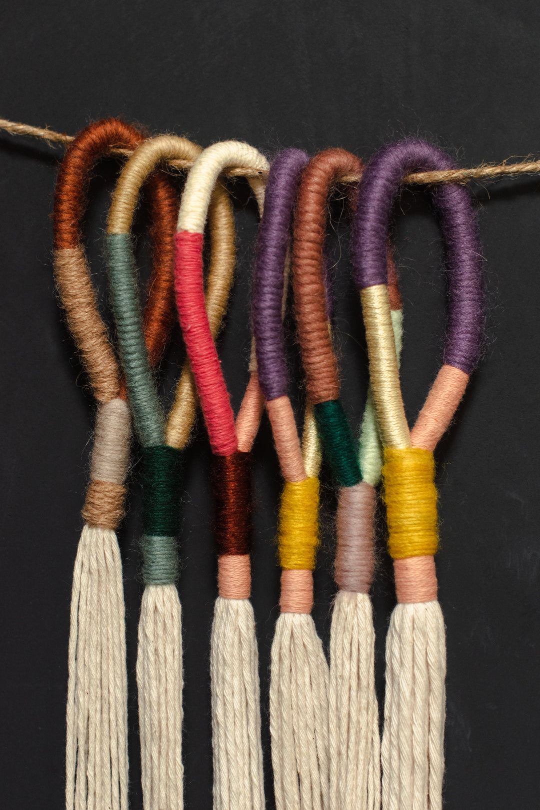 multicolor macrame plant hanger Little Feral Skinny Plant Hanger Skinny / Primary