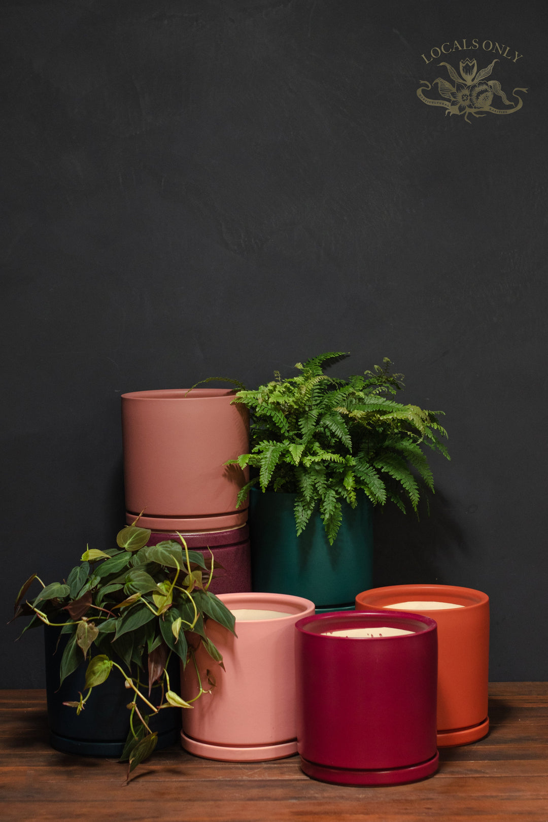 large indoor plant pots with saucers Large