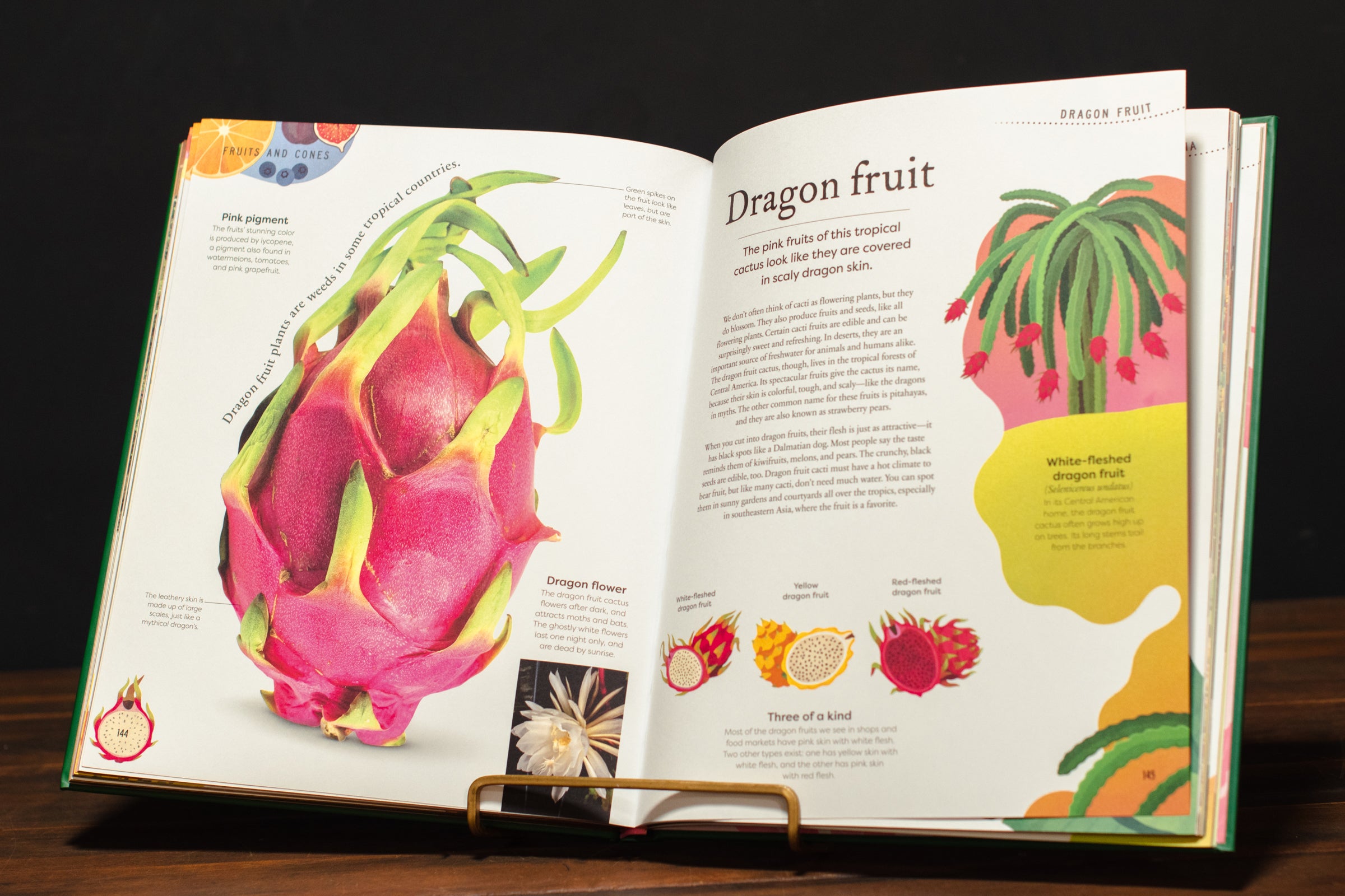The Secret World of Plants – Crimson Horticultural Rarities