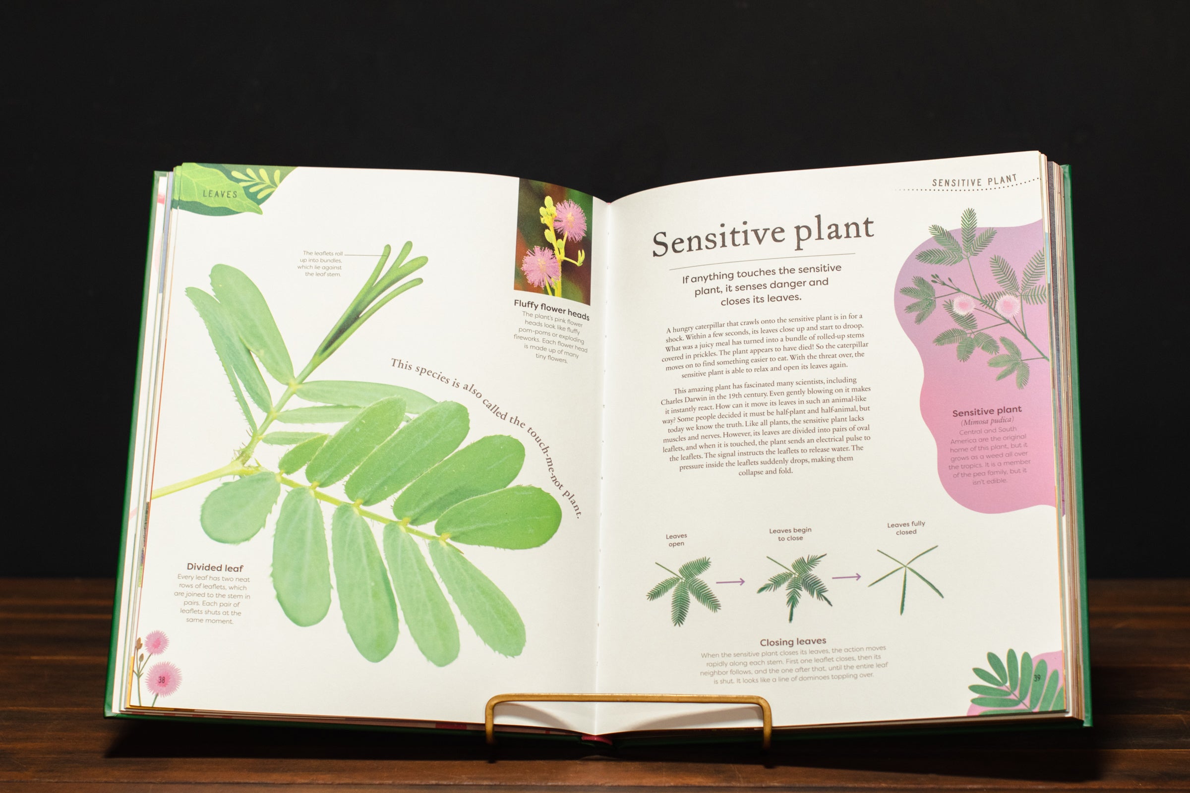 The Secret World of Plants – Crimson Horticultural Rarities