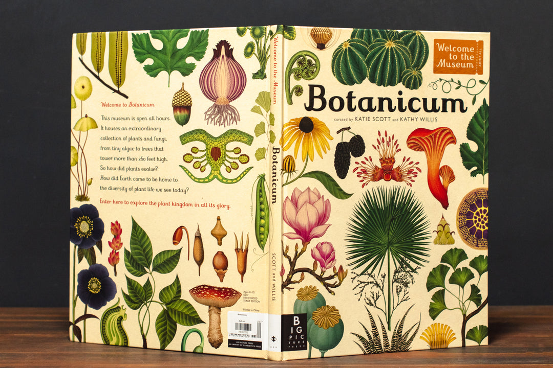 Botanicum Botanicum: Welcome to the Museum – Crimson Horticultural Rarities